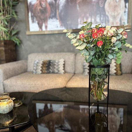 B14 Apartments & Rooms Рейкявик Екстериор снимка